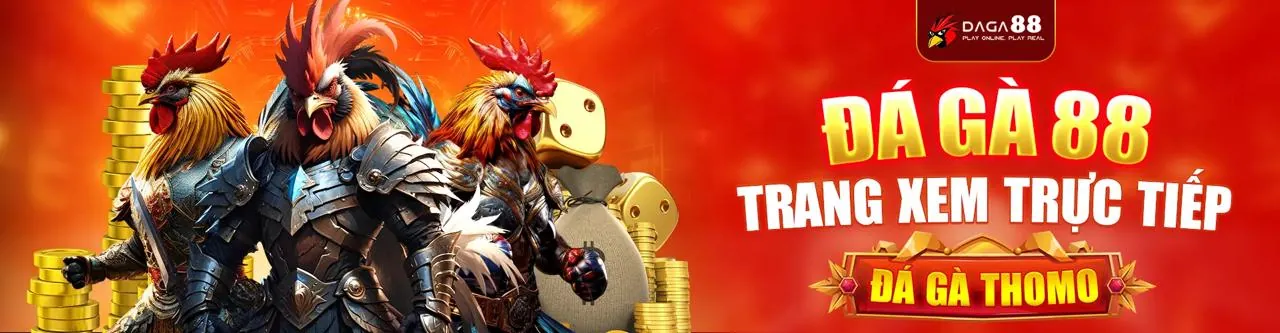 Đá gà trực tuyến sôi động tại SGD777 Chính Thức